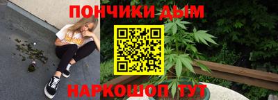 стафф Моздок