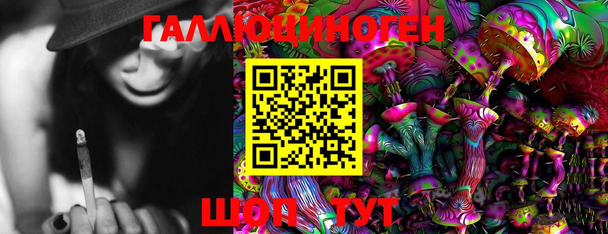 Галлюциногенные грибы Psilocybine cubensis Ростов Великий