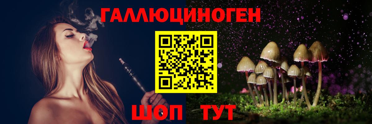 Ростов Великий  Галлюциногенные грибы Psilocybine cubensis  Вход с VPN 